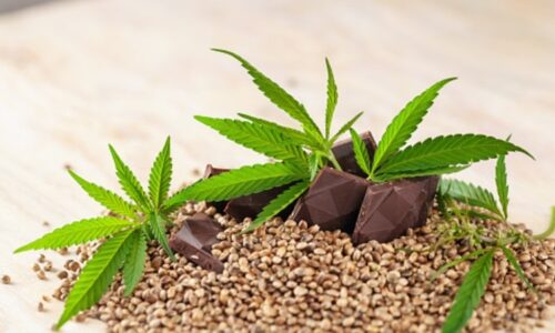 Edibles and Cannabis Culture: Trends and Innovations