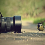 Elevate Your Home’s Style with Staircase Carpets: Why Settle for Ordinary When You Can Have Extraordinary?