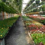 Essential Guide to Selecting Rental Power Equipment for Home Improvements and Commercial Ventures