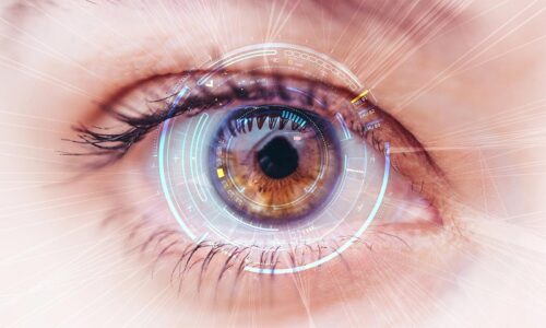 The Lens Advantage: Navigating the World of Contact Lenses