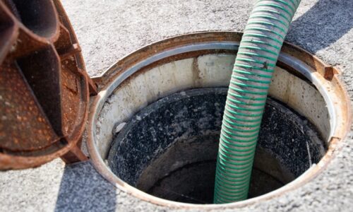Signs Your Sewer Line Needs Immediate Attention
